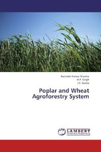 Produktbild: Sharma, N: Poplar and Wheat Agroforestry System