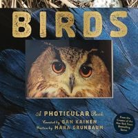 Produktbild: Birds