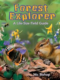 Produktbild: Forest Explorer: A Life-Sized Field Guide