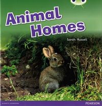 Produktbild: Bug Club Guided Non Fiction Reception Pink B Animal Homes
