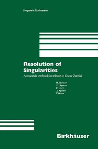 Produktbild: Resolution of Singularities