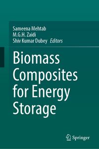 Produktbild: Biomass Composites for Energy Storage