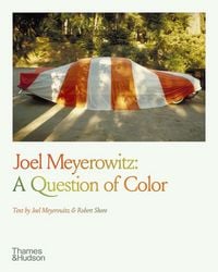 Produktbild: Joel Meyerowitz