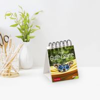 Ein Jahr gute Laune Mini-Geschenkkalender 2024