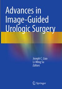 Produktbild: Advances in Image-Guided Urologic Surgery