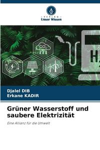 Produktbild: Gr&uuml;ner Wasserstoff und saubere Elektrizit&auml;t