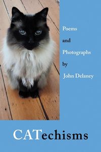 Produktbild: CATechisms