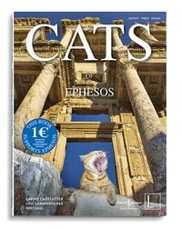 Produktbild: Cats Of Ephesos