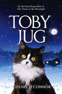 Produktbild: Toby Jug