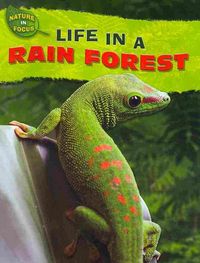 Produktbild: Life in a Rain Forest