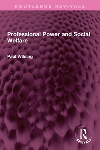 Produktbild: Professional Power and Social Welfare