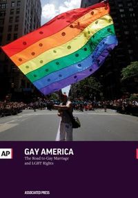 Produktbild: Gay America