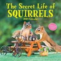 Produktbild: Workman Calendars: Secret Life of Squirrels Wall Calendar 20