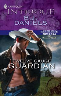 Produktbild: Twelve-Gauge Guardian