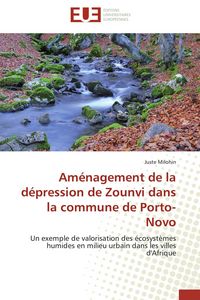 Produktbild: Am&eacute;nagement de la d&eacute;pression de Zounvi dans la commune de Porto-Novo