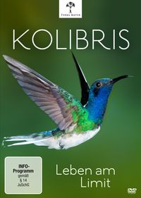 Bild vom Artikel Kolibris - Leben am Limit vom Autor Kolibris-Leben Am Limit