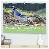 Produktbild: Kanadas charmante Kleintiere - Bezaubernde Einblicke in die Natur (hochwertiger Premium Wandkalender 2027 DIN A2 quer), Kunstdruck in Hochglanz