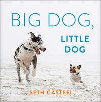 Produktbild: Big Dog, Little Dog