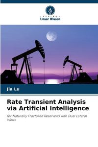 Produktbild: Rate Transient Analysis via Artificial Intelligence