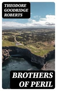 Produktbild: Brothers of Peril