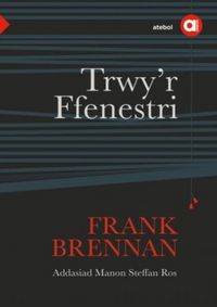 Produktbild: Cyfres Amdani: Trwy'r Ffenestri