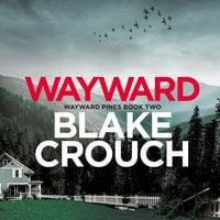Produktbild: Wayward