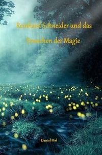Produktbild: Reinhard Schneider und das Erwachen der Magie - Eine Zauberer Hexen Magier Fantasy Magic Zauberschule N&uuml;rnberg Geschichte