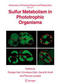 Produktbild: Sulfur Metabolism in Phototrophic Organisms