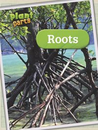 Produktbild: Roots
