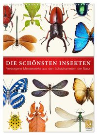 Produktbild: Die sch&ouml;nsten Insekten (Wandkalender 2027 DIN A3 hoch), CALVENDO Monatskalender