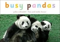 Produktbild: Busy Pandas