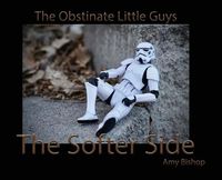 Produktbild: The Softer Side
