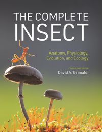 Produktbild: The Complete Insect