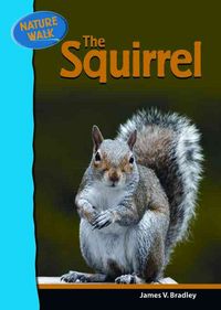 Produktbild: Bradley, J: The Squirrel