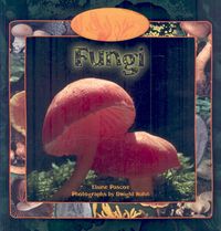 Produktbild: Fungi