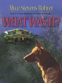 Produktbild: What Was It?