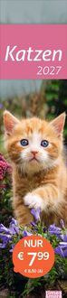 Produktbild: times&more Katzen Langplaner 2027