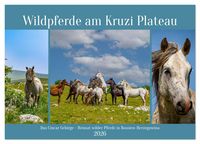 Produktbild: Wildpferde am Kruzi Plateau (Wandkalender 2026 DIN A3 quer), CALVENDO Monatskalender