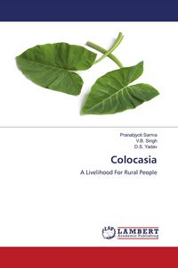 Produktbild: Colocasia