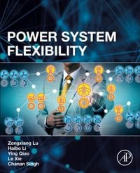 Produktbild: Power System Flexibility
