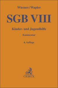 Produktbild: Sgb Viii
