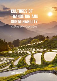 Bild vom Artikel Cultures of Transition and Sustainability vom Autor John Clammer