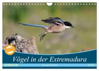 Produktbild: V&ouml;gel in der Extremadura (Wandkalender 2026 DIN A4 quer), CALVENDO Monatskalender