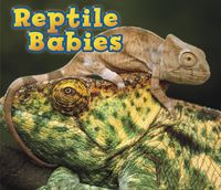 Produktbild: Reptile Babies