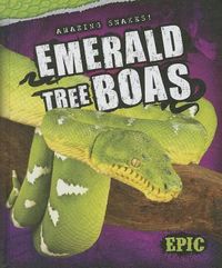 Produktbild: Emerald Tree Boas