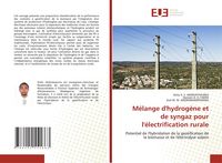 Produktbild: M&eacute;lange d'hydrog&egrave;ne et de syngaz pour l'&eacute;lectrification rurale