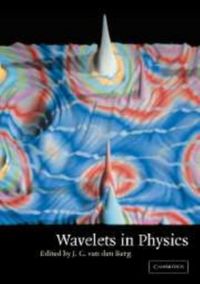 Produktbild: Wavelets in Physics