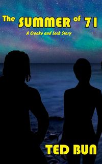 Produktbild: The Summer of '71 (Crooke and Loch, #1)