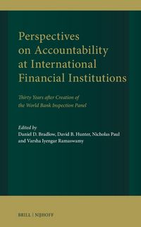 Produktbild: Perspectives on Accountability at International Financial Institutions
