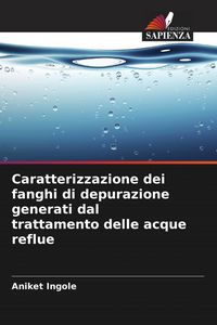 Produktbild: Caratterizzazione dei fanghi di depurazione generati dal trattamento delle acque reflue